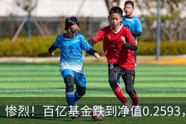 惨烈！百亿基金跌到净值0.2593，暴跌74%！无数基民不敢打开账户